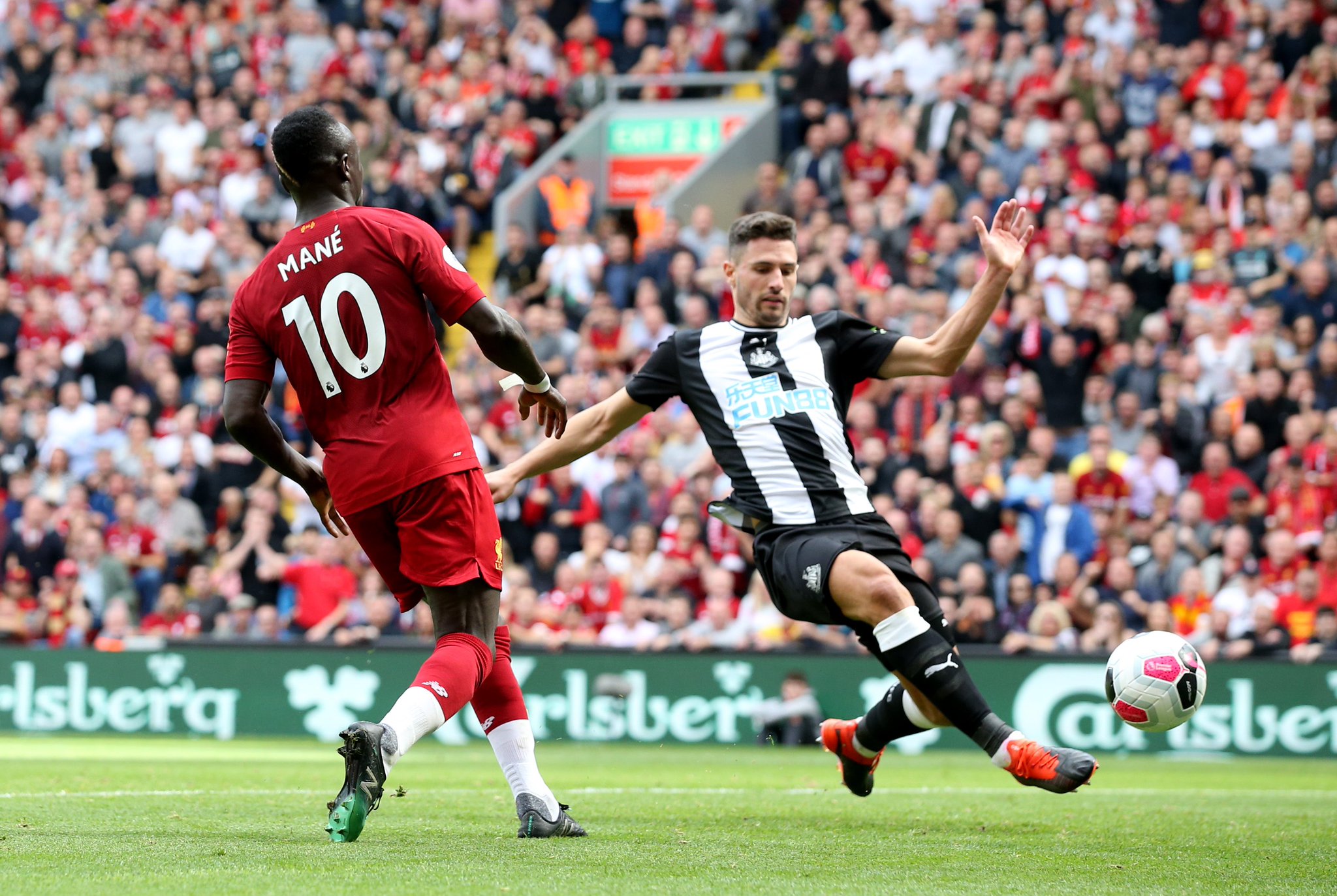 这位来自加 这位来自加